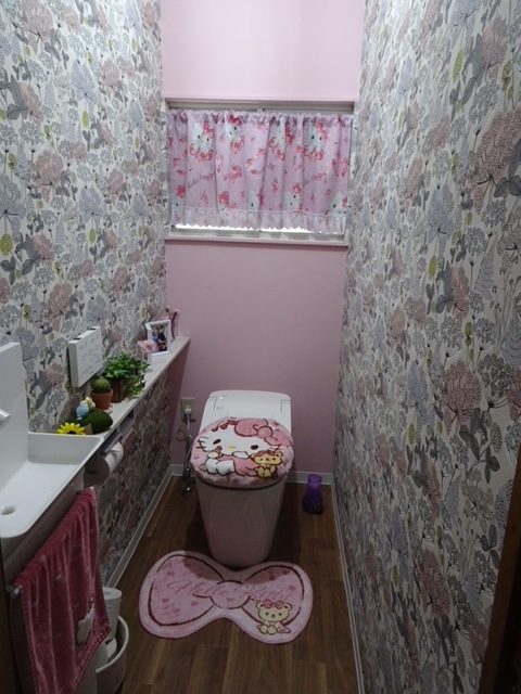 PanasonicアラウーノS160施工例